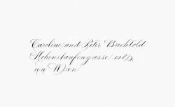 Schriftmuster "Spencerian"