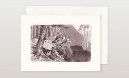 Jagdeinladungen bei Huber & Lerner