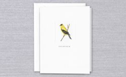 Grußkarten von Crane mit Goldkehlchen