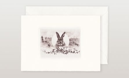 Jagdeinladungen bei Huber & Lerner