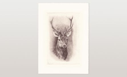 Kupferstichbilets mit jagdlichen Motiven