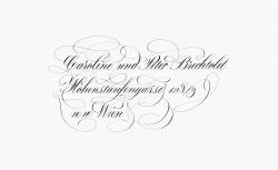 Schriftmuster "Anglaise ornamentiert"