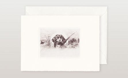 Jagdeinladungen bei Huber & Lerner